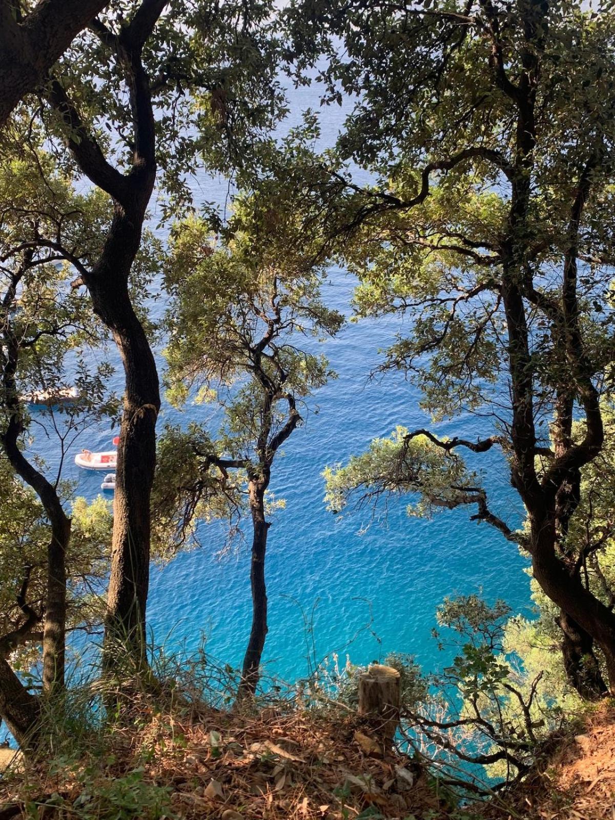 Sea View Apartment With Private Garden Camogli Dış mekan fotoğraf